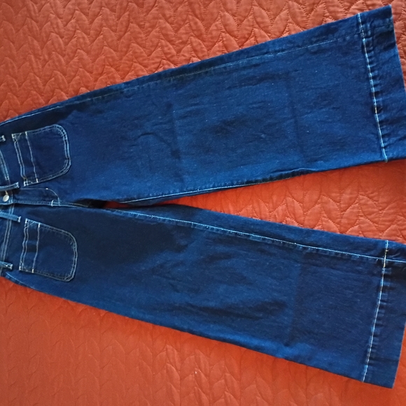 Blue Flare Wide Leg Jeans with Rich Deep Tone, Size 2 - Picture 2 of 9